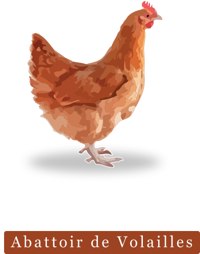 beldivol